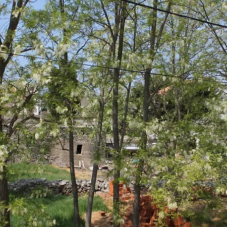 With Parking Space Privlaka, Zadar - 6154 Apartment Privlaka (Zadar)